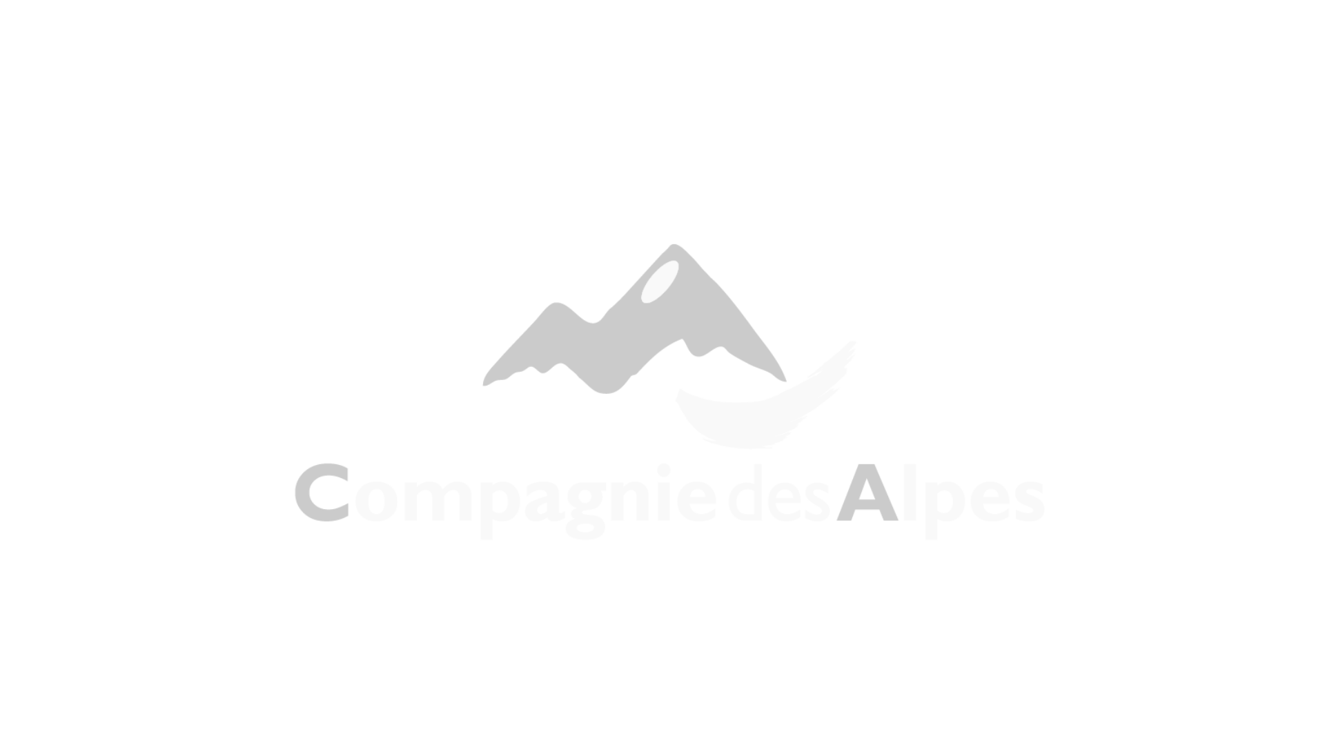 Compagnie des Alpes logo